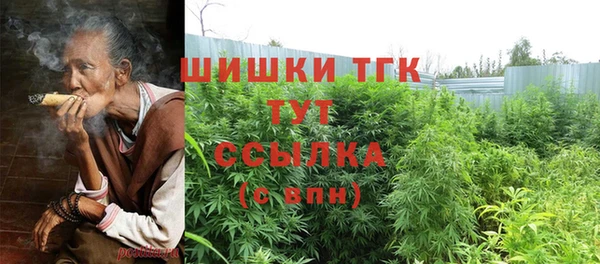 молекула духа Тобольск