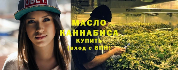 крисы Туринск